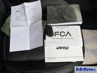 Jeep Wrangler 2.0 Turbo 80th Anniversary (13)