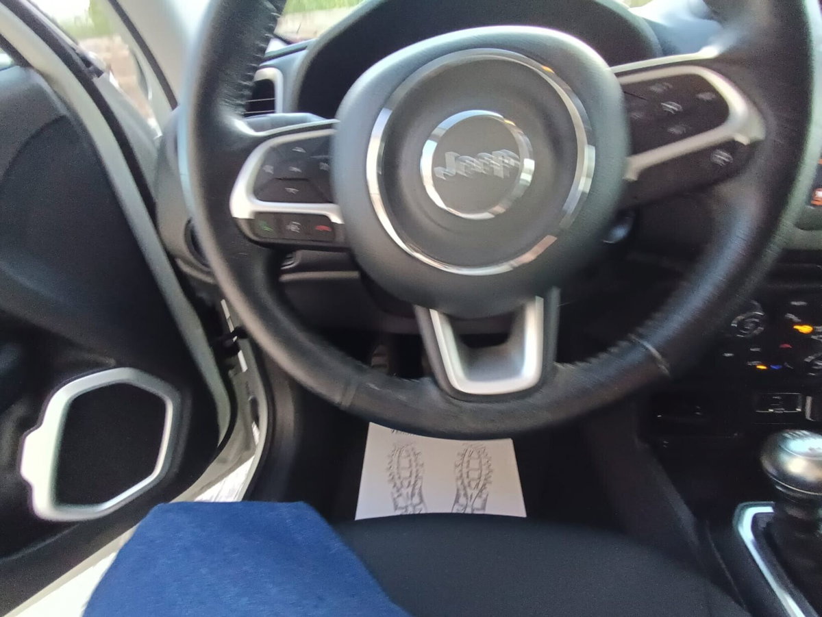 Jeep Renegade 1.6 Mjt 120 CV Opening Edition (12)