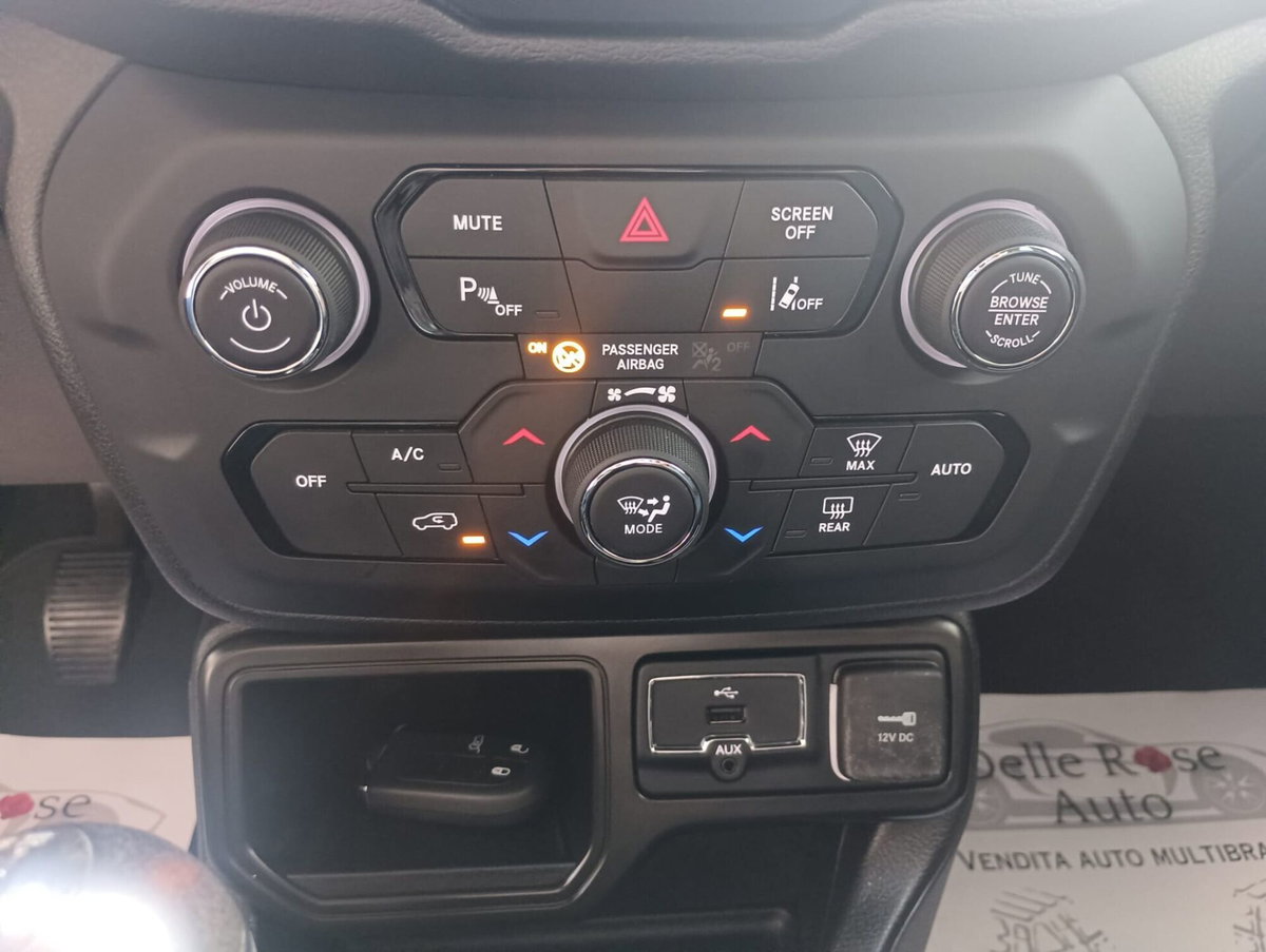 Jeep Renegade 1.6 Mjt 120 CV Opening Edition (16)