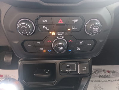 Jeep Renegade 1.6 Mjt 120 CV Opening Edition (16)