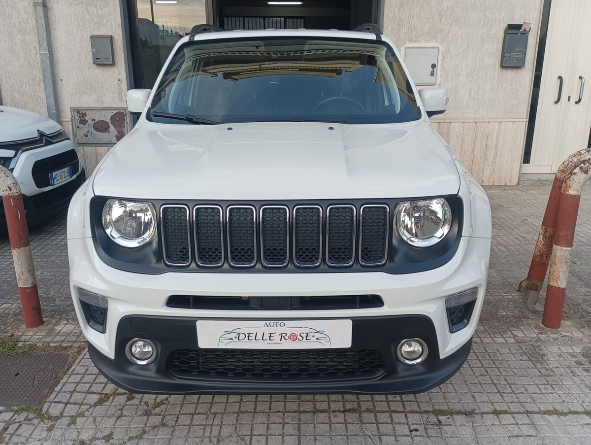 Jeep Renegade 1.6 Mjt 120 CV Opening Edition (2)