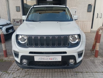Jeep Renegade 1.6 Mjt 120 CV Opening Edition (2)