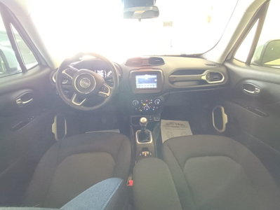 Jeep Renegade 1.6 Mjt 120 CV Opening Edition (8)