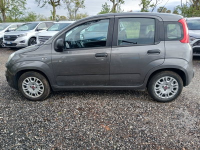 Fiat Panda 1.0 FireFly S&S Hybrid (8)