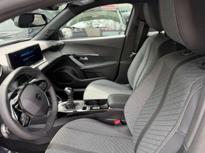 Peugeot 2008 PureTech 100 S&S Allure (6)