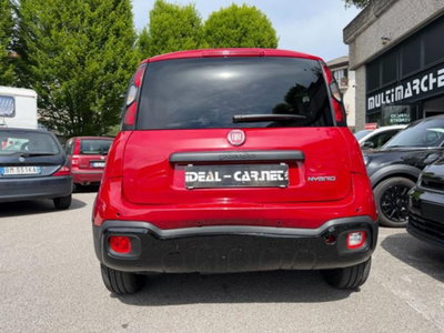 Fiat Panda Cross 1.0 firefly hybrid Cross s&s 70cv 5p.ti (5)