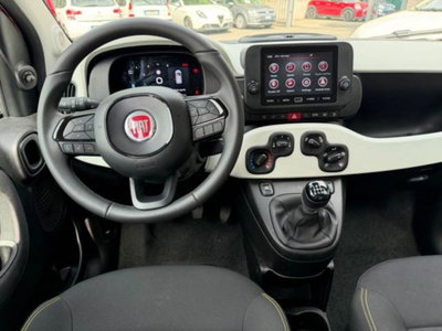 Fiat Panda Cross 1.0 firefly hybrid Cross s&s 70cv 5p.ti (6)