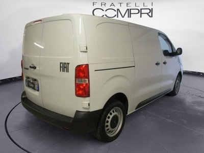 Fiat Scudo Furgone 2.0 BlueHDi 145CV AT8 PL-TN Furgone Lounge (4)