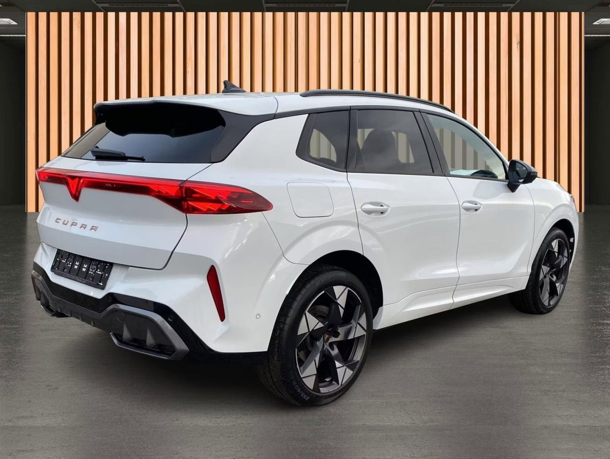 Cupra Terramar 2.0 tsi VZ 4drive 265cv dsg (3)