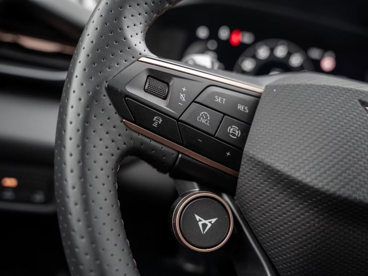 Cupra Terramar 1.5 e-hybrid 204cv dsg (10)