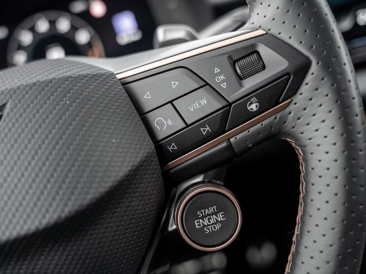 Cupra Terramar 1.5 e-hybrid 204cv dsg (20)