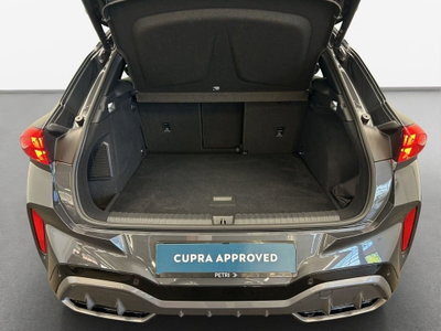 Cupra Terramar 1.5 e-hybrid 204cv dsg (10)
