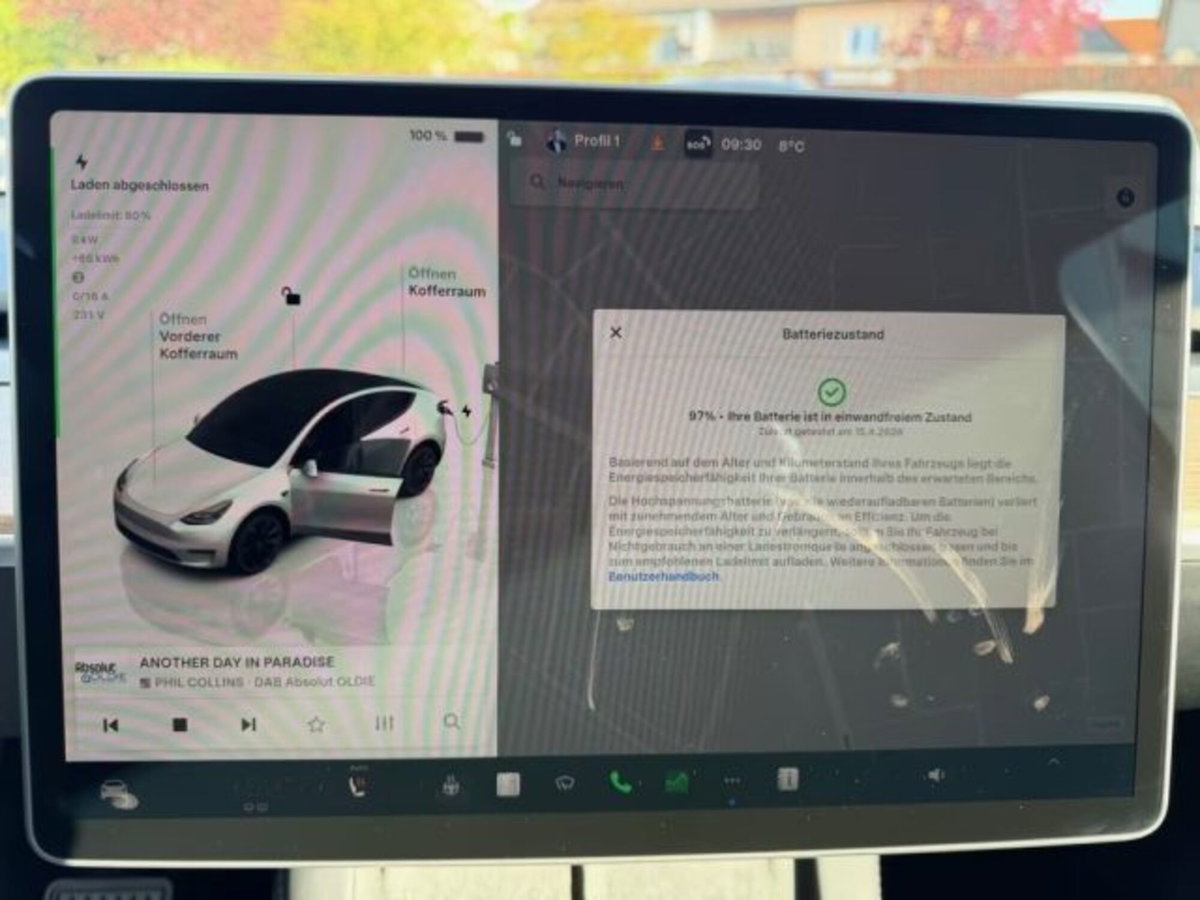 Tesla Model Y Long Range awd (11)