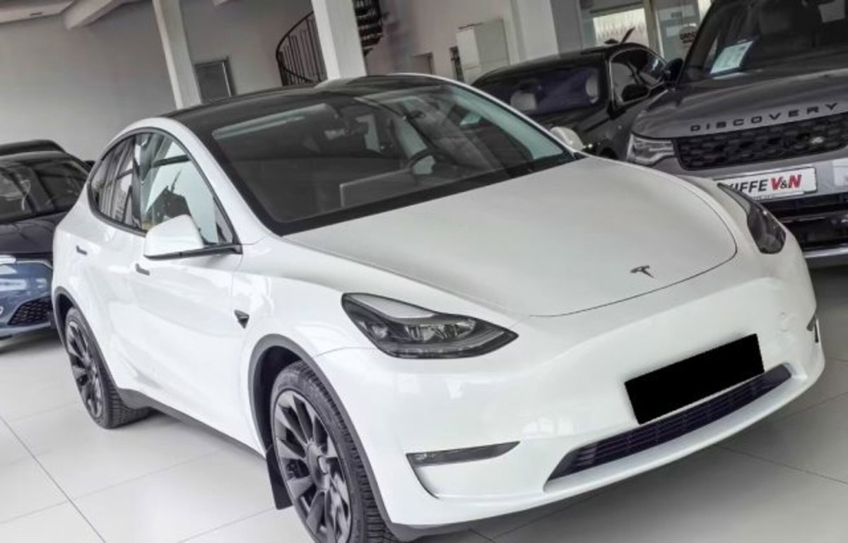 Tesla Model Y Long Range awd (3)