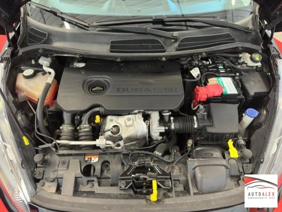 Ford Fiesta 1.5 TDCi 95CV 5 porte ECOnetic (12)