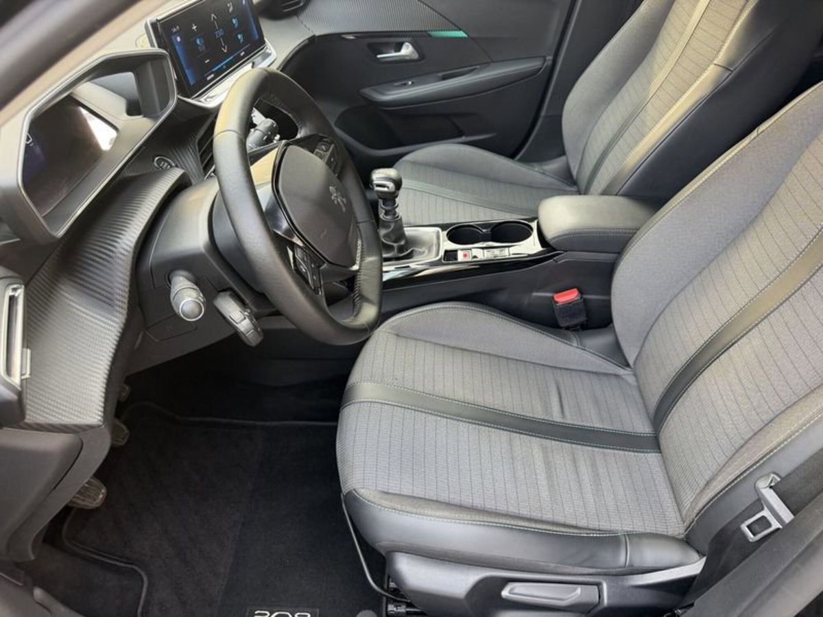 Peugeot 208 PureTech 100 Stop&Start 5 porte GT Line (5)