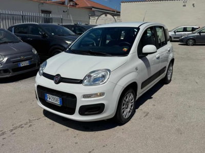 Fiat Panda 1.2 Easy usata
