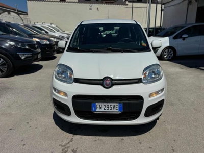 Fiat Panda 1.2 Easy (2)