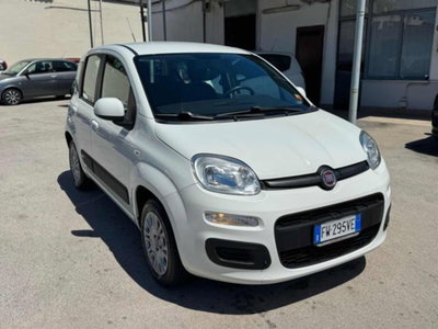 Fiat Panda 1.2 Easy (3)