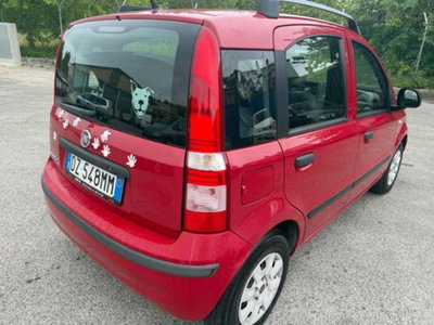 Fiat Panda 1.2 Emotion Eco (12)