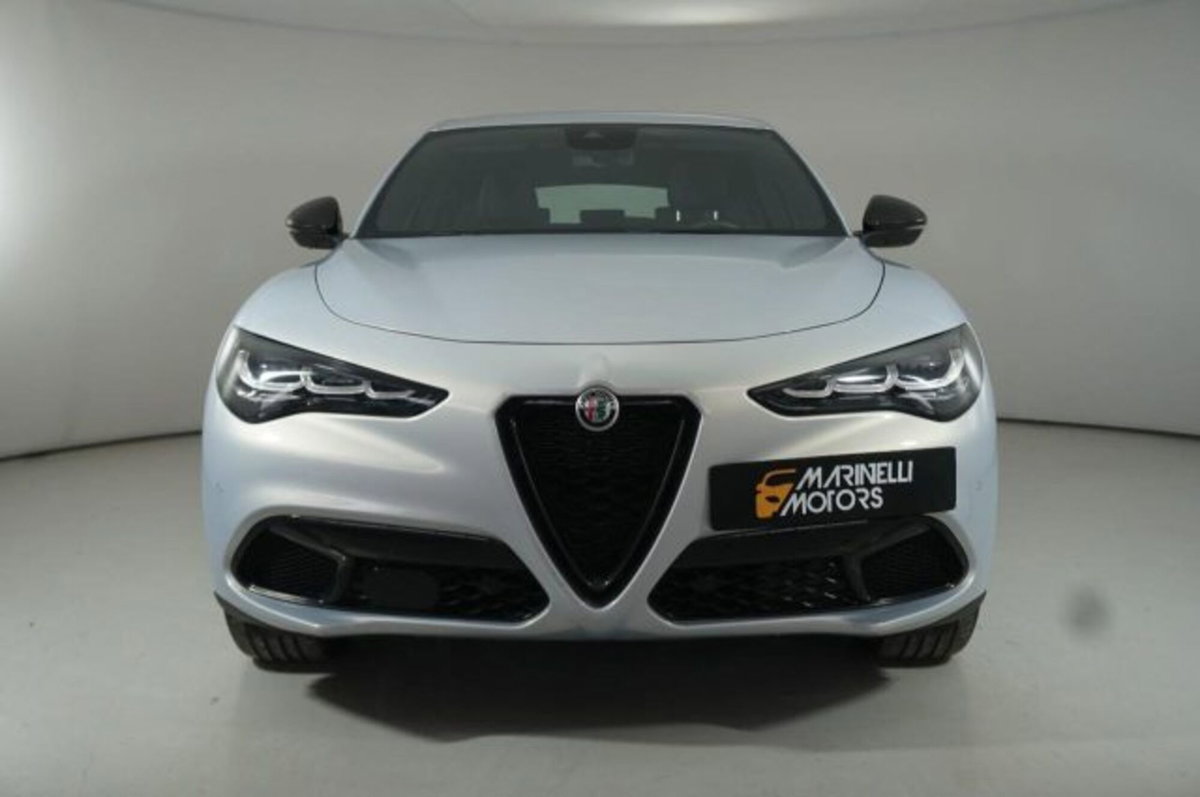 Alfa Romeo Stelvio Stelvio 2.2 Turbodiesel 160 CV AT8 RWD Sprint (3)