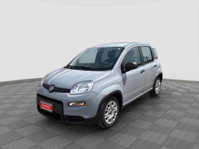 Fiat Panda 1.0 FireFly S&S Hybrid City Cross usata