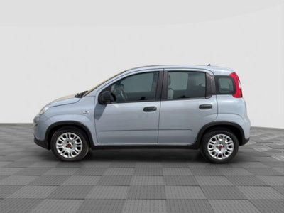 Fiat Panda 1.0 FireFly S&S Hybrid City Cross (2)
