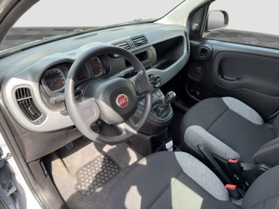 Fiat Panda 1.0 FireFly S&S Hybrid City Cross (9)