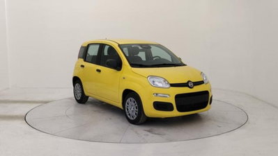 Fiat Panda 1.0 firefly hybrid s&s 70cv 5p.ti (7)