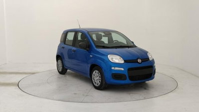 Fiat Panda 1.0 firefly hybrid s&s 70cv 5p.ti (7)