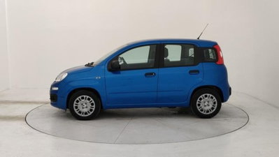 Fiat Panda 1.0 firefly hybrid s&s 70cv 5p.ti (2)