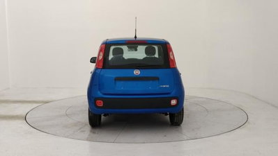 Fiat Panda 1.0 firefly hybrid s&s 70cv 5p.ti (4)