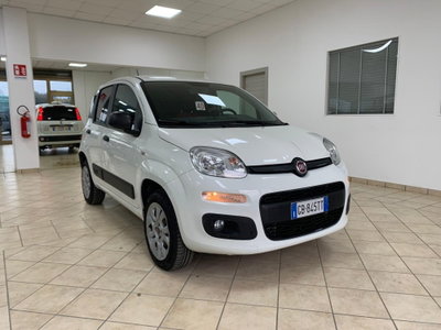 Fiat Panda 0.9 TwinAir Turbo S&S 4x4 Wild (3)
