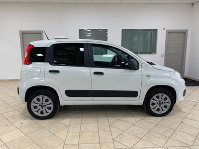 Fiat Panda 0.9 TwinAir Turbo S&S 4x4 Wild (4)