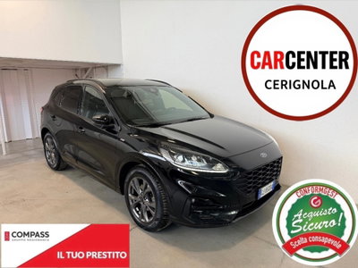 Ford Kuga 1.5 EcoBlue 120 CV 2WD ST-Line usata