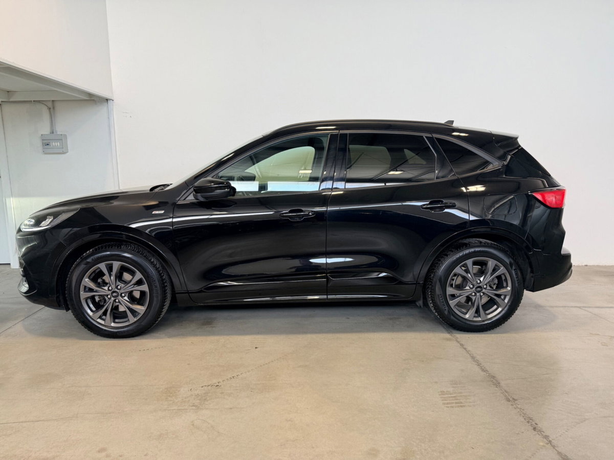 Ford Kuga 1.5 EcoBlue 120 CV 2WD ST-Line (7)