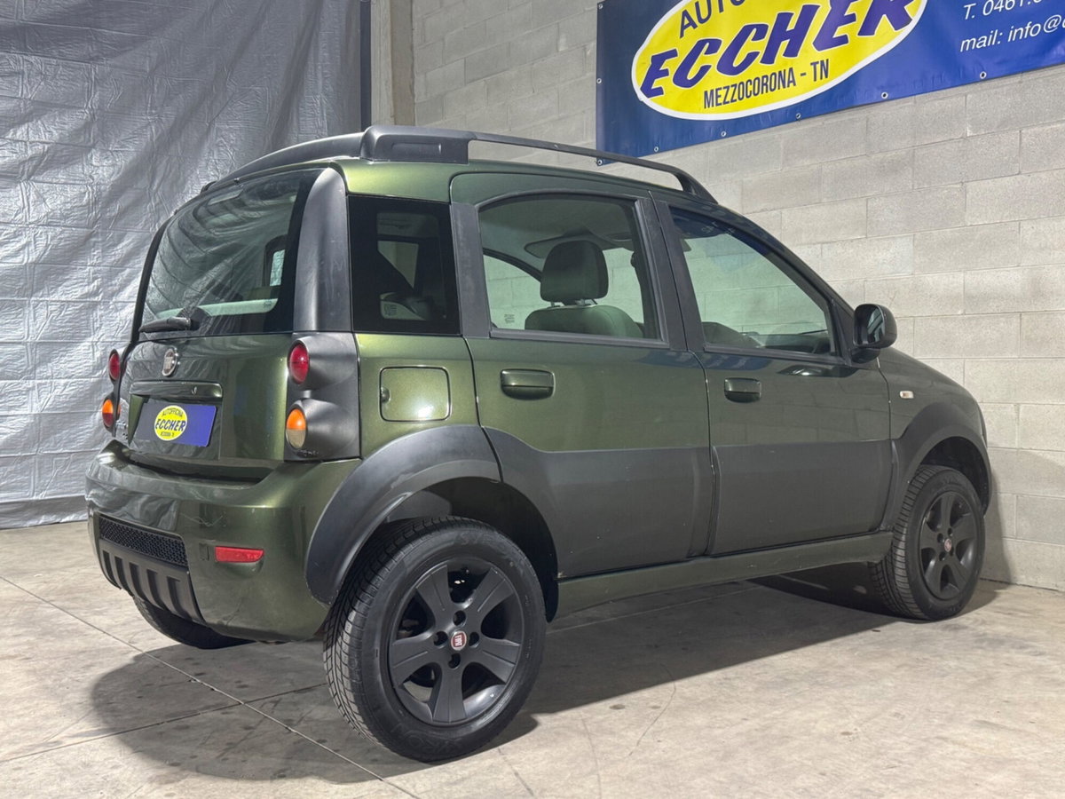 Fiat Panda 1.3 MJT 16V 4x4 Cross (8)