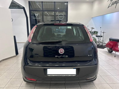 Fiat Punto Evo 1.4 5 porte S&S Dynamic (5)