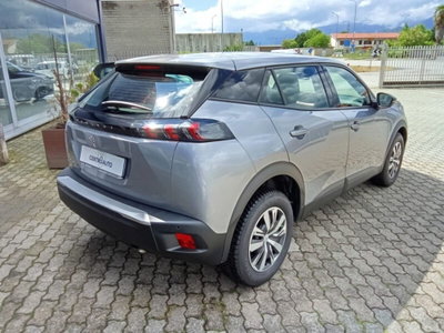 Peugeot 2008 PureTech 100 S&S Active Pack (3)