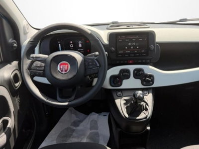 Fiat Panda 1.0 firefly hybrid s&s 70cv 5p.ti (13)