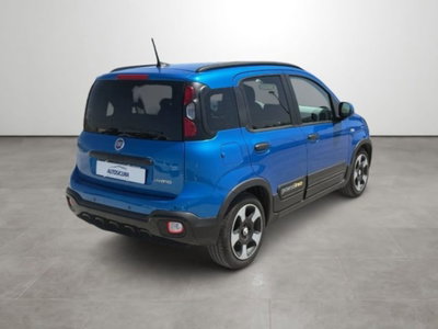 Fiat Panda 1.0 firefly hybrid s&s 70cv 5p.ti (4)