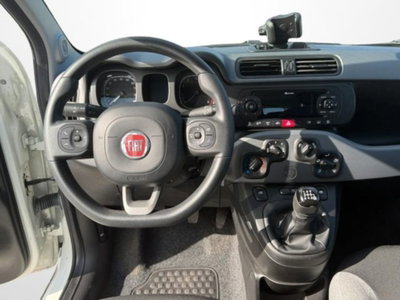 Fiat Panda 1.0 firefly hybrid s&s 70cv (10)