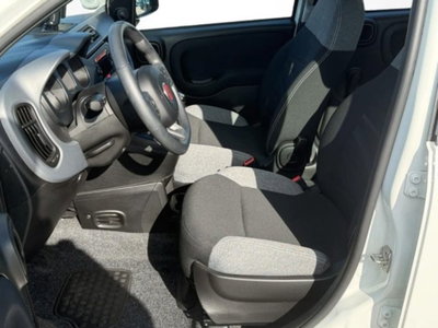 Fiat Panda 1.0 firefly hybrid s&s 70cv (11)