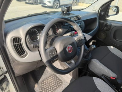 Fiat Panda 1.0 firefly hybrid s&s 70cv (14)