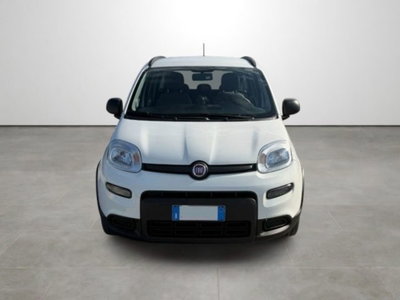 Fiat Panda 1.0 firefly hybrid s&s 70cv (2)