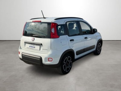 Fiat Panda 1.0 firefly hybrid s&s 70cv (4)