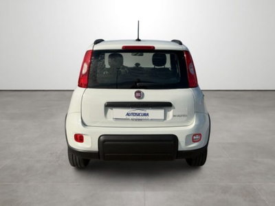 Fiat Panda 1.0 firefly hybrid s&s 70cv (5)