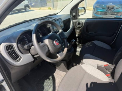 Fiat Panda 1.0 firefly hybrid s&s 70cv 5p.ti (11)