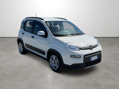 Fiat Panda 1.0 firefly hybrid s&s 70cv 5p.ti (3)
