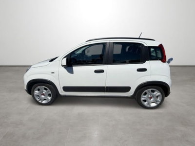 Fiat Panda 1.0 firefly hybrid s&s 70cv 5p.ti (7)